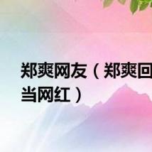郑爽网友（郑爽回应想当网红）