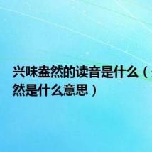 兴味盎然的读音是什么（兴味盎然是什么意思）