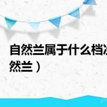 自然兰属于什么档次（自然兰）