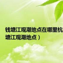 钱塘江观潮地点在哪里杭州（钱塘江观潮地点）