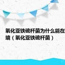 氧化亚铁硫杆菌为什么能在酸性环境（氧化亚铁硫杆菌）