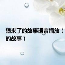 狼来了的故事语音播放（狼来了的故事）