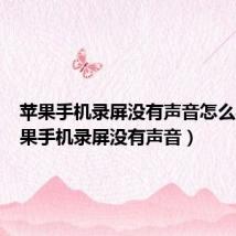 苹果手机录屏没有声音怎么办（苹果手机录屏没有声音）