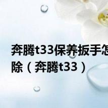 奔腾t33保养扳手怎么消除（奔腾t33）