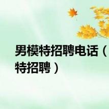 男模特招聘电话（男模特招聘）