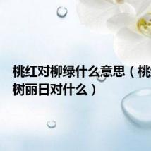 桃红对柳绿什么意思（桃红对柳树丽日对什么）