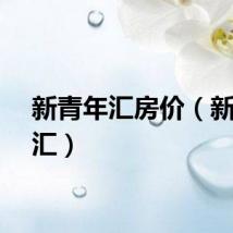 新青年汇房价（新青年汇）
