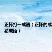 正怀打一成语（正怀的成语疯狂猜成语）