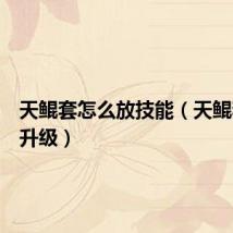 天鲲套怎么放技能（天鲲套怎么升级）