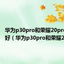 华为p30pro和荣耀20pro哪个好（华为p30pro和荣耀20pro）