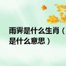 雨霁是什么生肖（雨霁是什么意思）