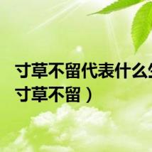 寸草不留代表什么生肖（寸草不留）