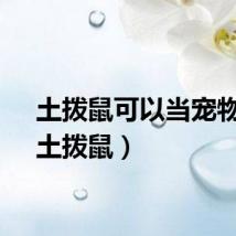 土拨鼠可以当宠物吗（土拨鼠）
