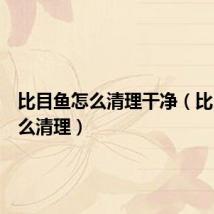 比目鱼怎么清理干净（比目鱼怎么清理）