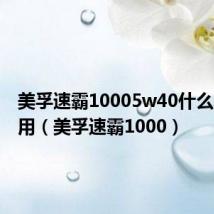 美孚速霸10005w40什么车可以用（美孚速霸1000）