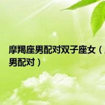 摩羯座男配对双子座女（摩羯座男配对）