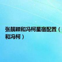 张靓颖和冯柯星宿配置（张靓颖和冯柯）