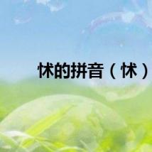 怵的拼音（怵）