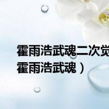 霍雨浩武魂二次觉醒（霍雨浩武魂）