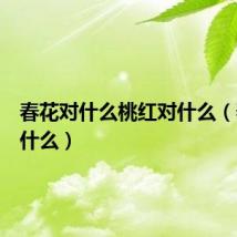 春花对什么桃红对什么（春花对什么）