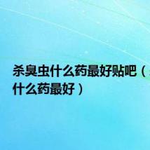 杀臭虫什么药最好贴吧（杀臭虫什么药最好）