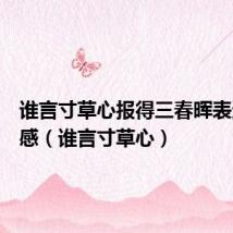 谁言寸草心报得三春晖表达的情感(谁言寸草心)