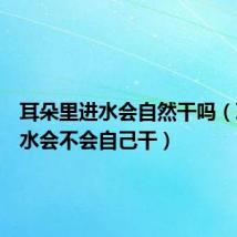 耳朵里进水会自然干吗（耳朵进水会不会自己干）