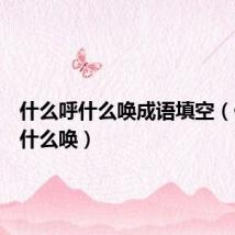 什么呼什么唤成语填空（什么呼什么唤）