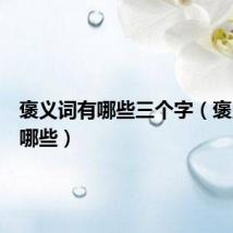 褒义词有哪些三个字（褒义词有哪些）