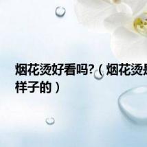 烟花烫好看吗?（烟花烫是什么样子的）
