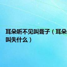 耳朵听不见叫聋子（耳朵听不见叫失什么）