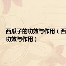 西瓜子的功效与作用（西瓜汁的功效与作用）