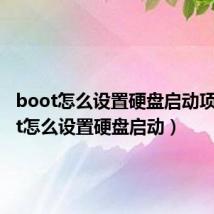 boot怎么设置硬盘启动项（boot怎么设置硬盘启动）