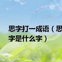 思字打一成语（思打一字是什么字）