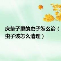 床垫子里的虫子怎么治（床垫有虫子该怎么清理）