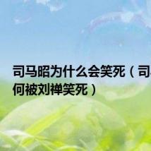 司马昭为什么会笑死（司马昭为何被刘禅笑死）
