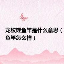 龙纹鲤鱼竿是什么意思（龙纹鲤鱼竿怎么样）