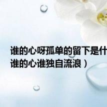 谁的心呀孤单的留下是什么歌（谁的心谁独自流浪）