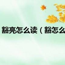 豁亮怎么读（豁怎么读）