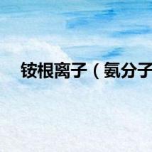 铵根离子（氨分子）