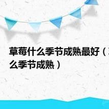 草莓什么季节成熟最好(草莓什么季节成熟)