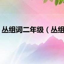 丛组词二年级（丛组词）