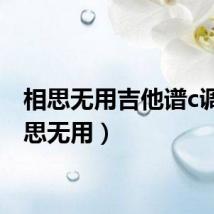 相思无用吉他谱c调（相思无用）