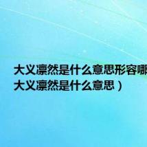 大义凛然是什么意思形容哪些人（大义凛然是什么意思）