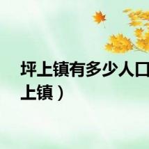 坪上镇有多少人口（坪上镇）