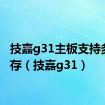 技嘉g31主板支持多大内存(技嘉g31)