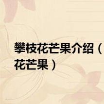 攀枝花芒果介绍（攀枝花芒果）