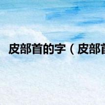 皮部首的字（皮部首）