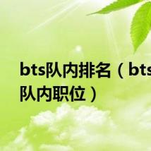 bts队内排名(bts成员队内职位)