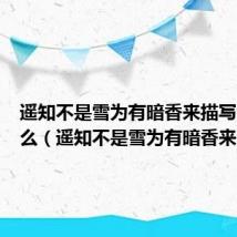 遥知不是雪为有暗香来描写的是什么（遥知不是雪为有暗香来）
